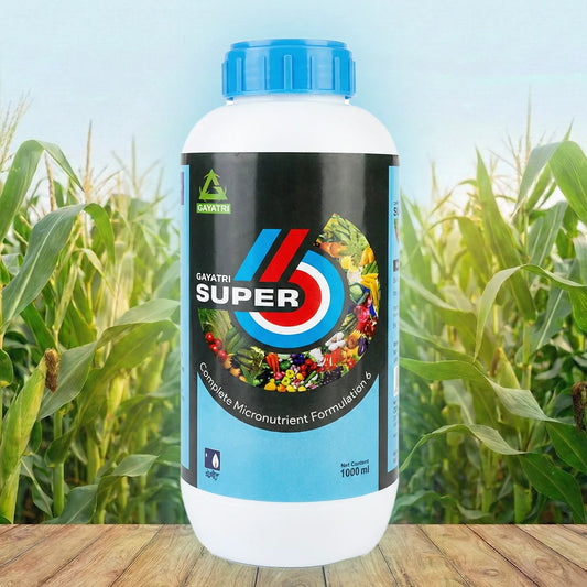 Super Formula 6