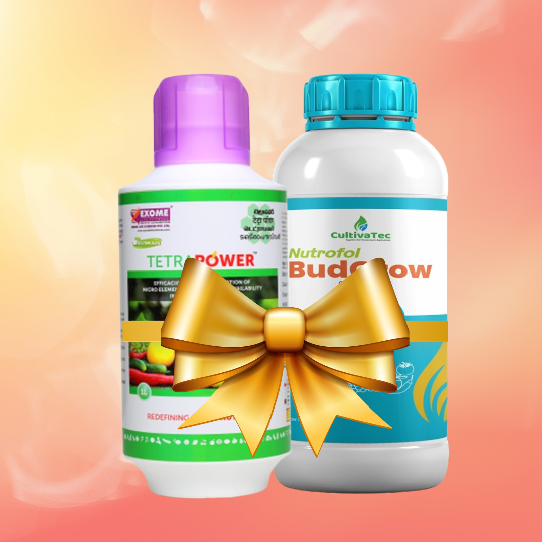 Tetrapower + Budgrow
