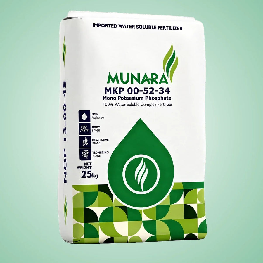 Munara MKP 00:52:34