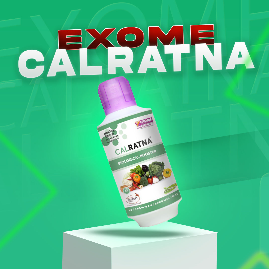 Calratna