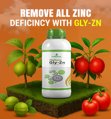 Gly-Zn