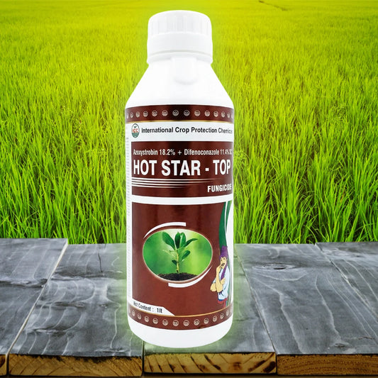 Hot Star Top