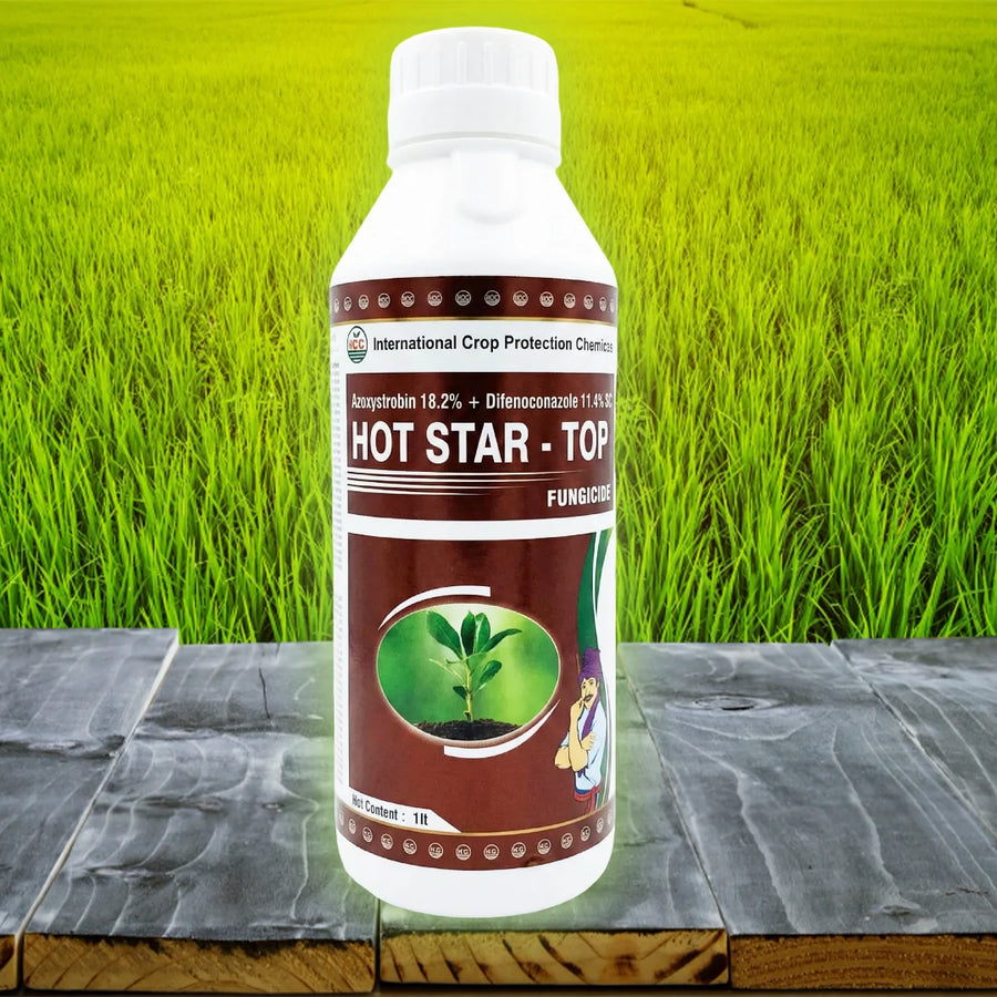 Hot Star Top