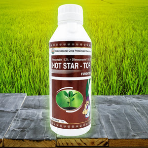 Hot Star Top