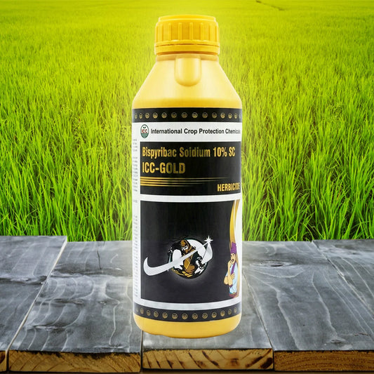 ICC - Gold
