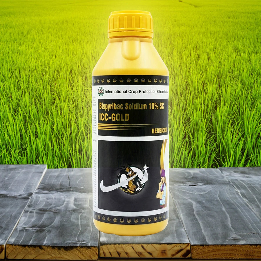 ICC - Gold