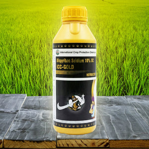 ICC - Gold
