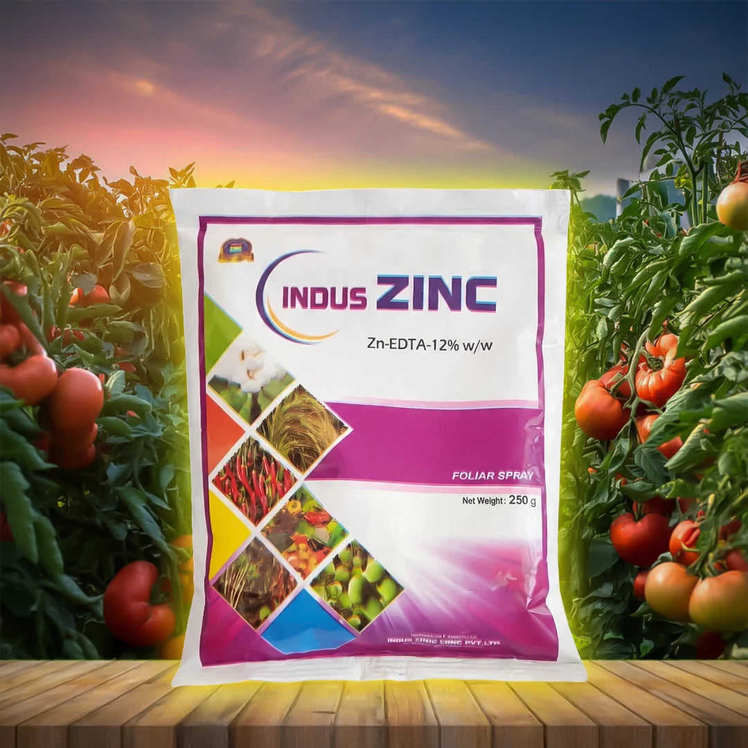 Indus Zinc 12% EDTA
