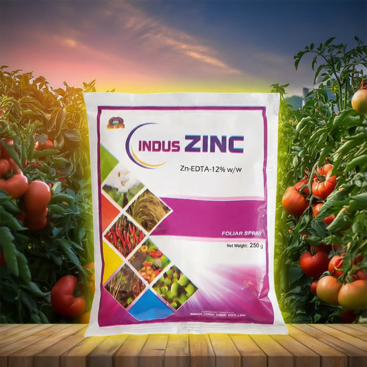 Indus Zinc 12% EDTA