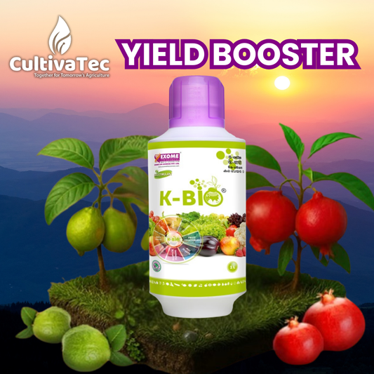 K-Bio