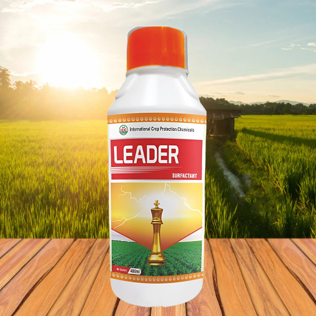 Leader