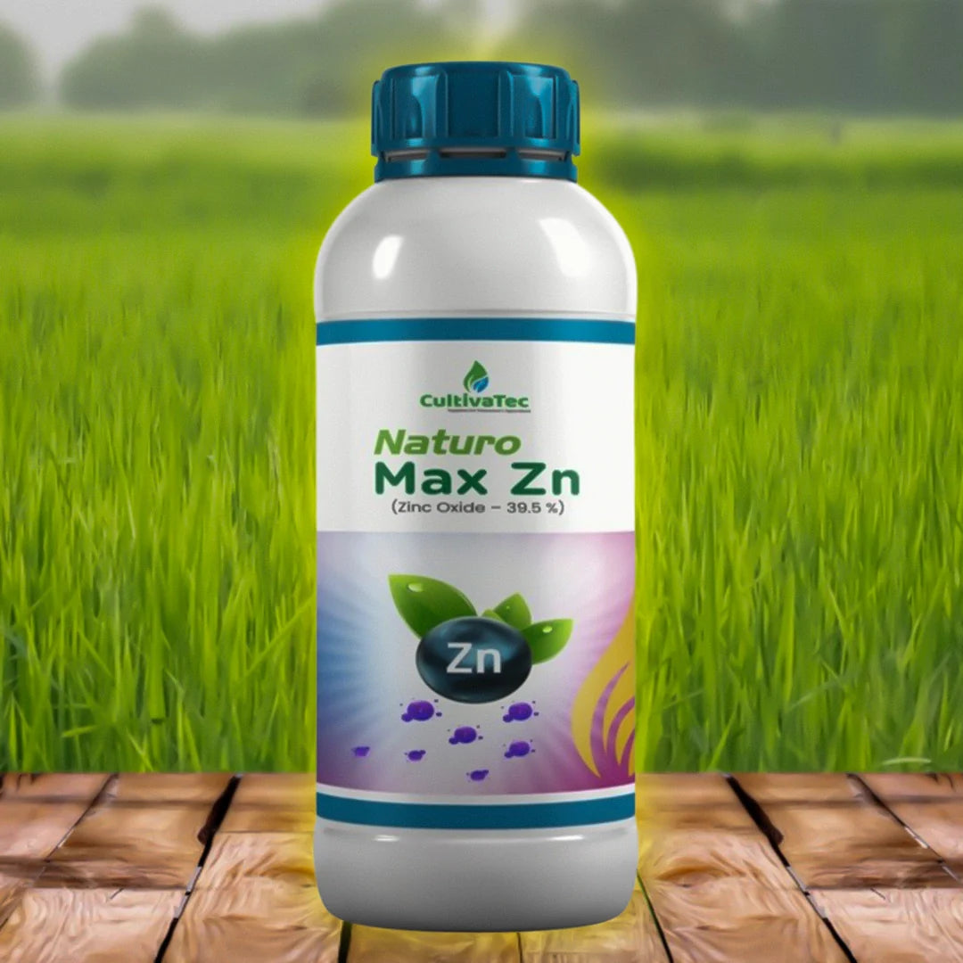 Max-Zn