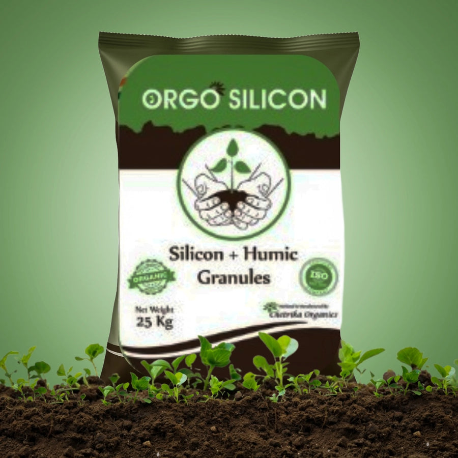 Orgo Silicon