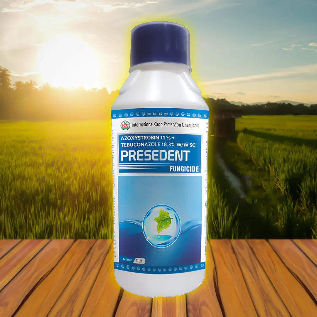 Presedent