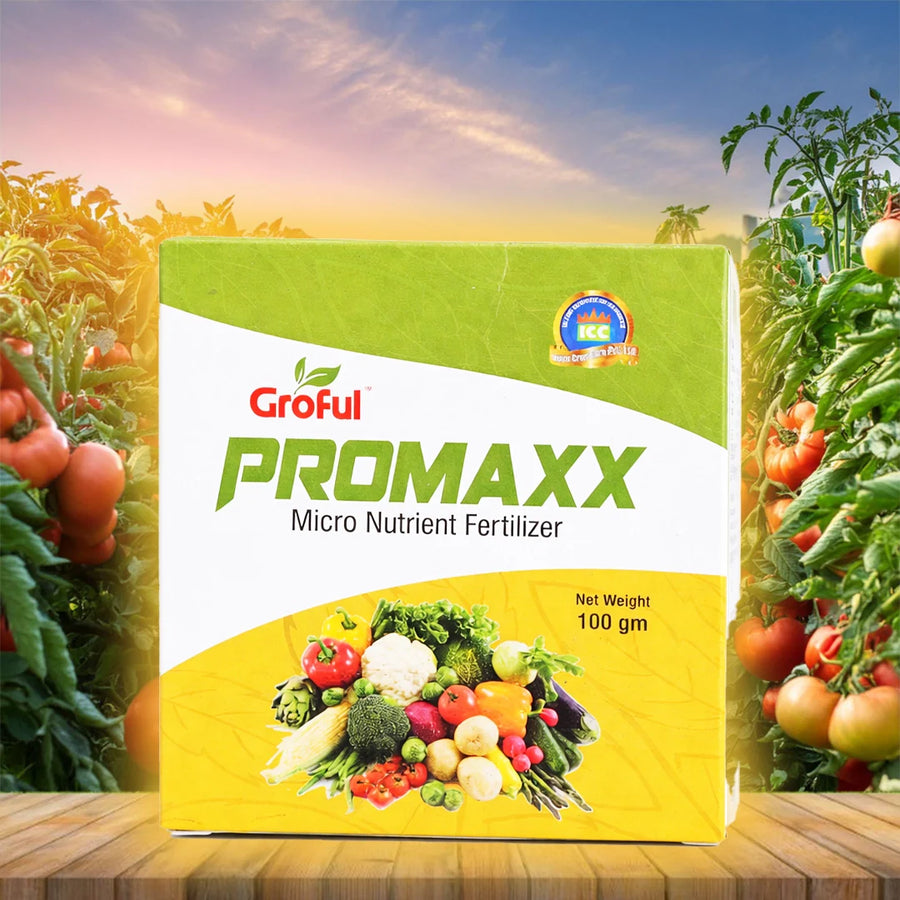 Promaxx 300 Gms Nutrient Mix