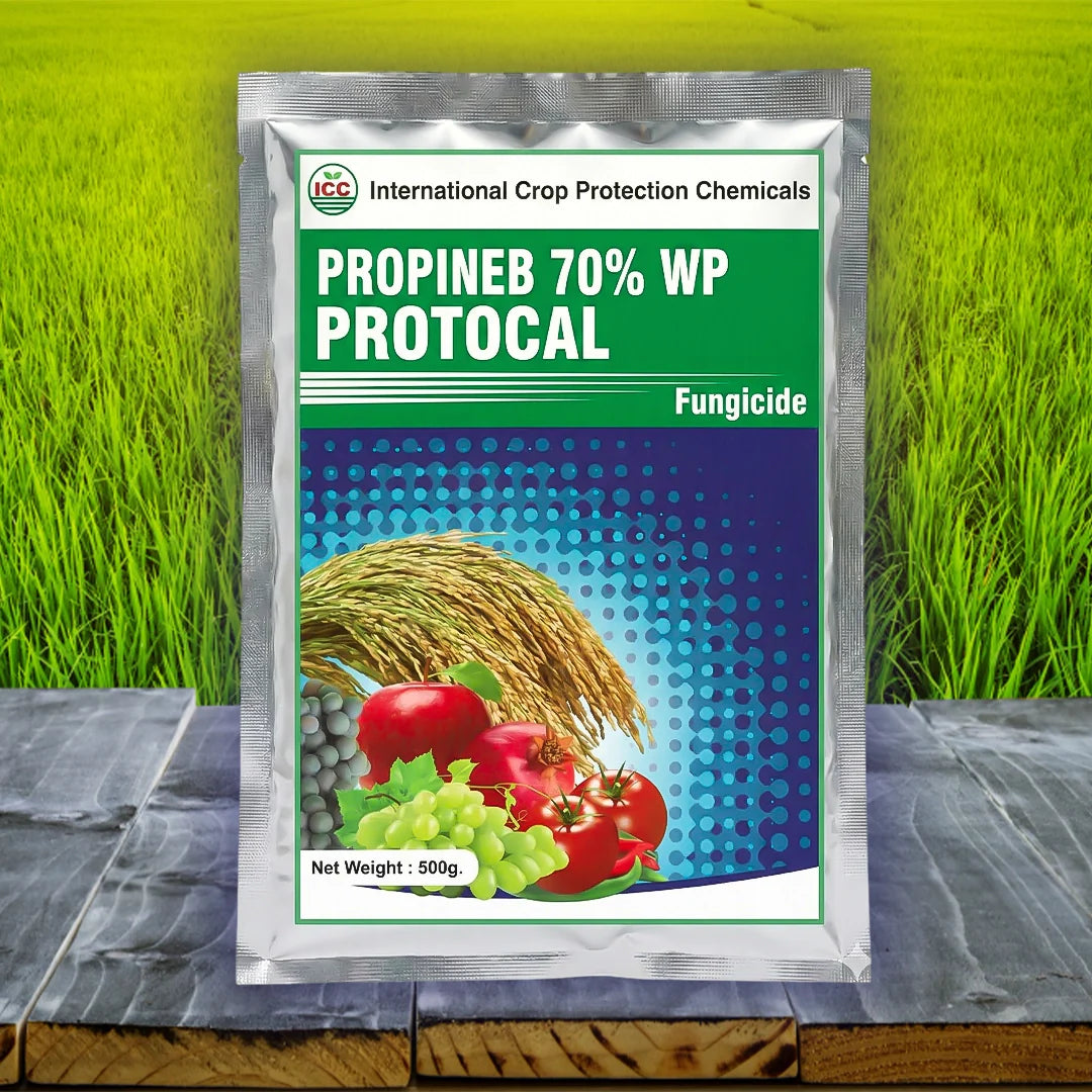 Protocal