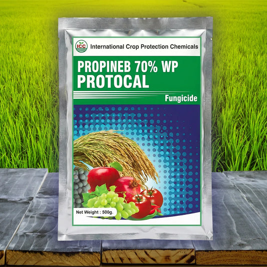 Protocal
