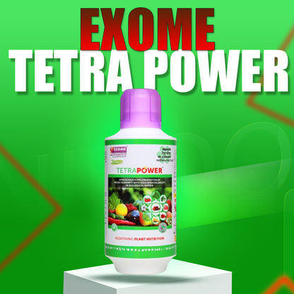 Tetrapower