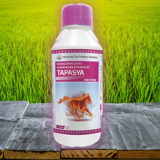 Tapasya